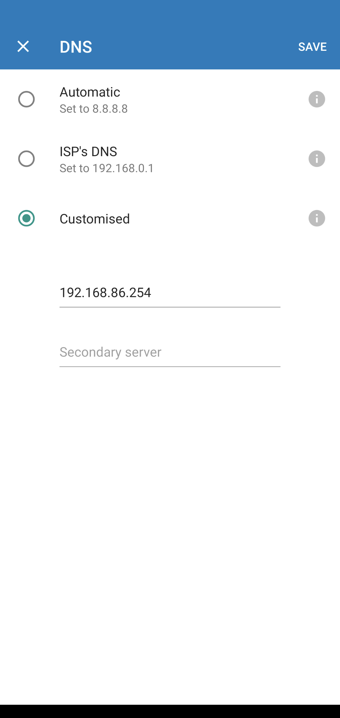 Google Wifi DNS Configuration